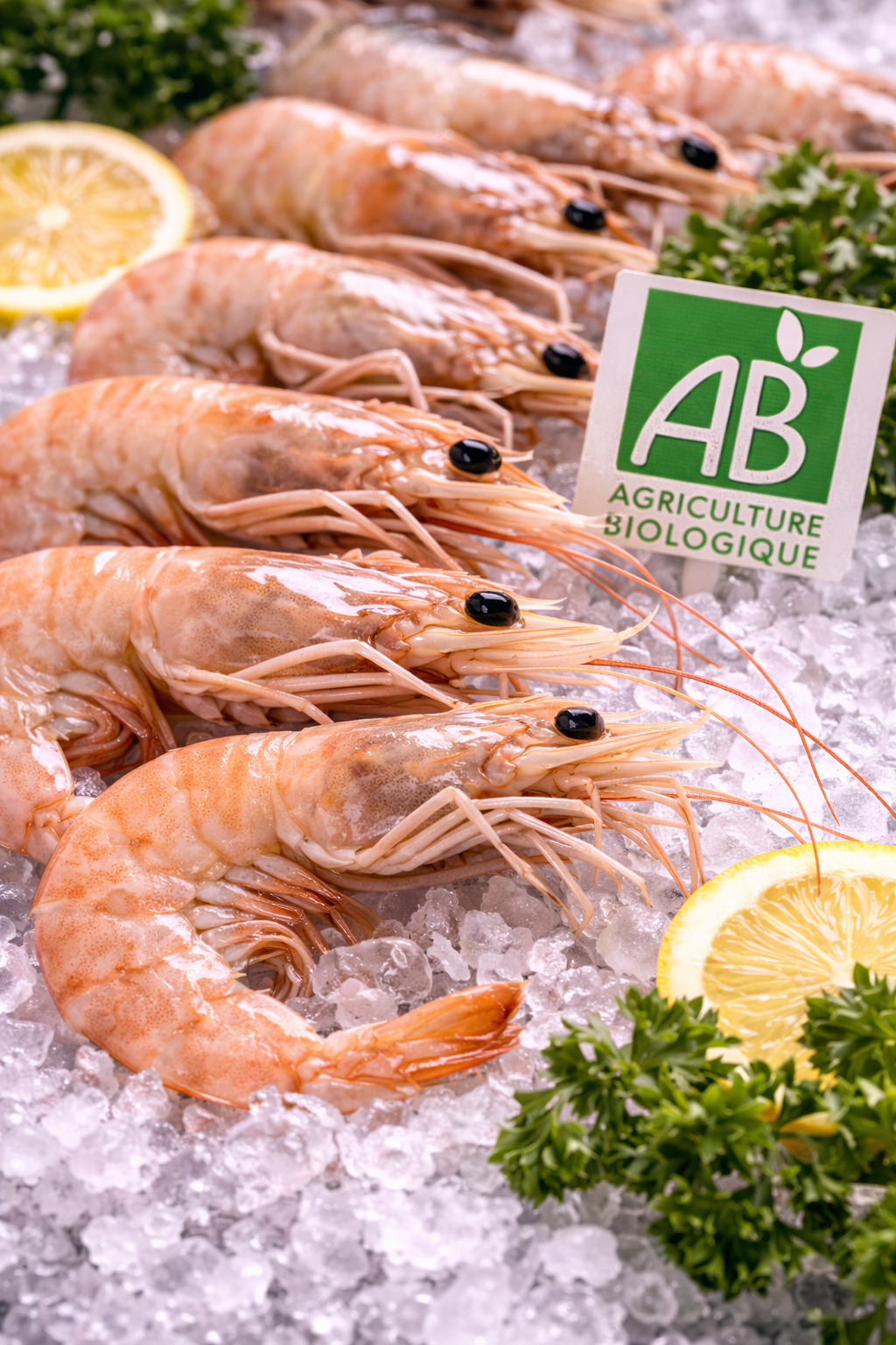 Crevettes bio de Madagascar